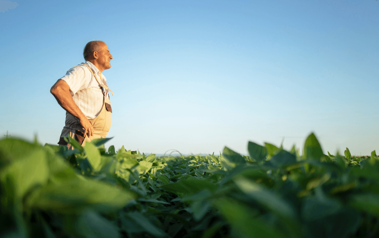 Como ter uma fazenda?